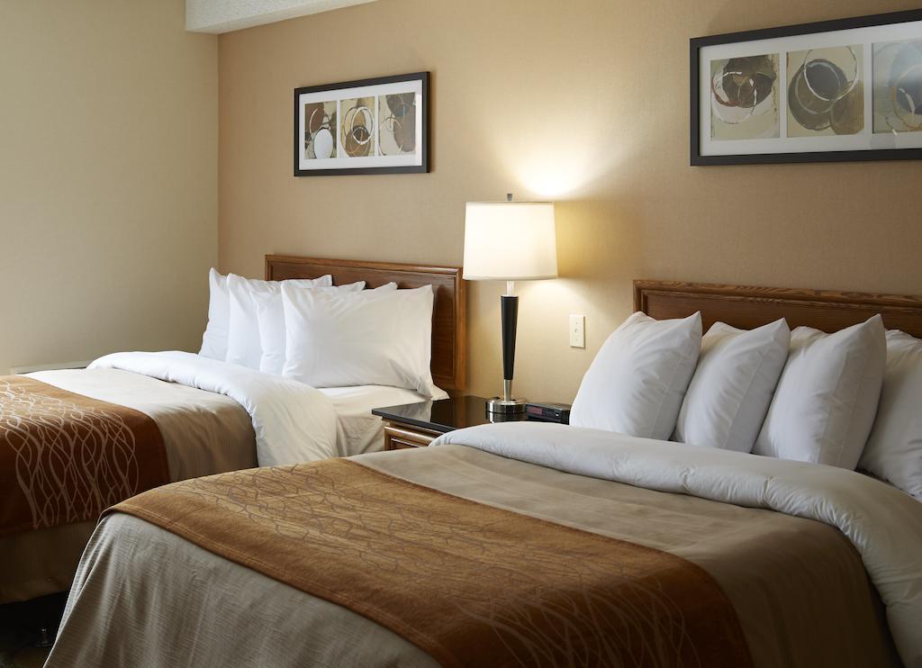 Comfort Inn East Moncton Eksteriør bilde